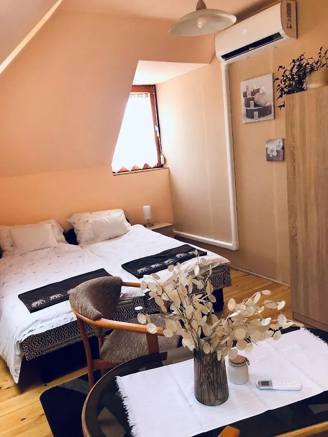 Agnes Vendeghaz Apartment Eger 0*,